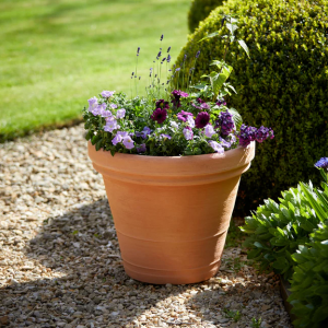 گلدان پلاستیکی سطل زباله