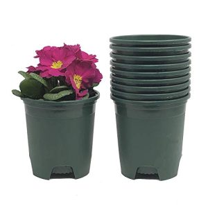 انواع گلدان پلاستیکی زیبا