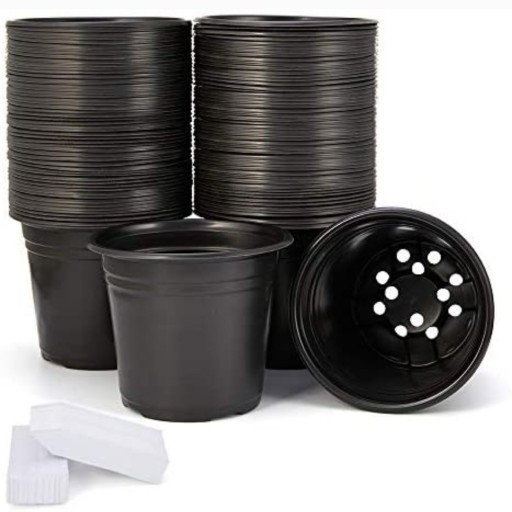 خرید گلدان پلاستیکی ژله ای