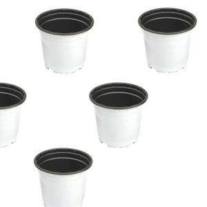 خرید گلدان پلاستیکی ژله ای