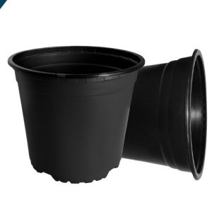 خرید گلدان پلاستیکی ژله ای