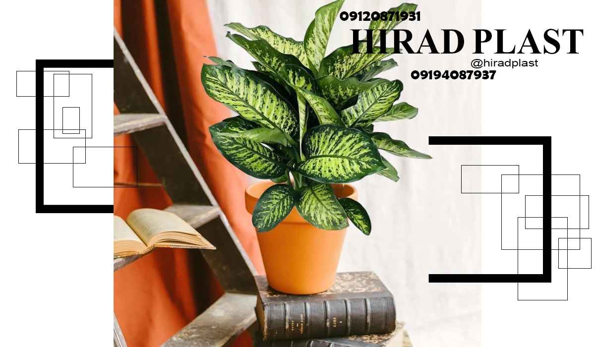 گلدان پلاستیکی آپارتمانی