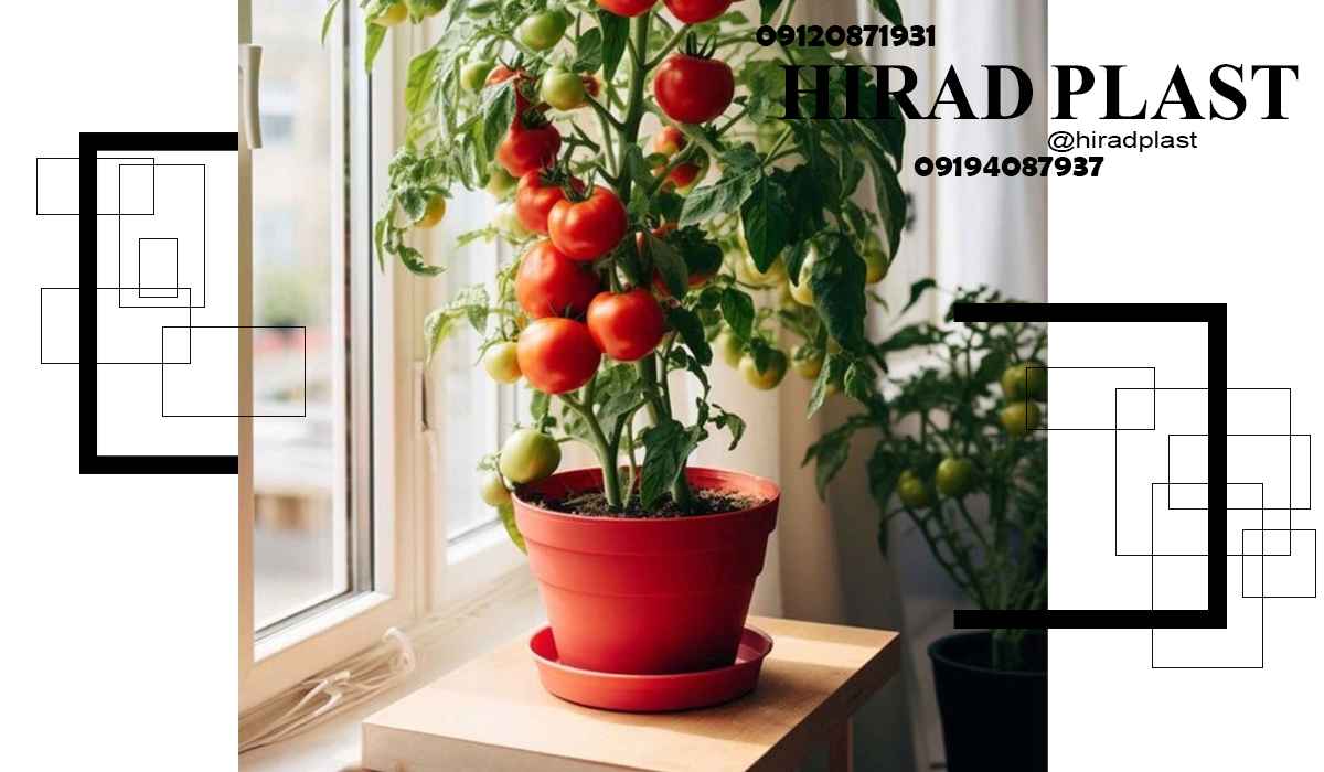 گلدان پلاستیکی رنگی