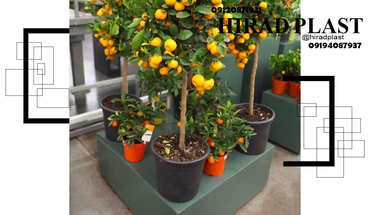 گلدان پلاستیکی سطلی