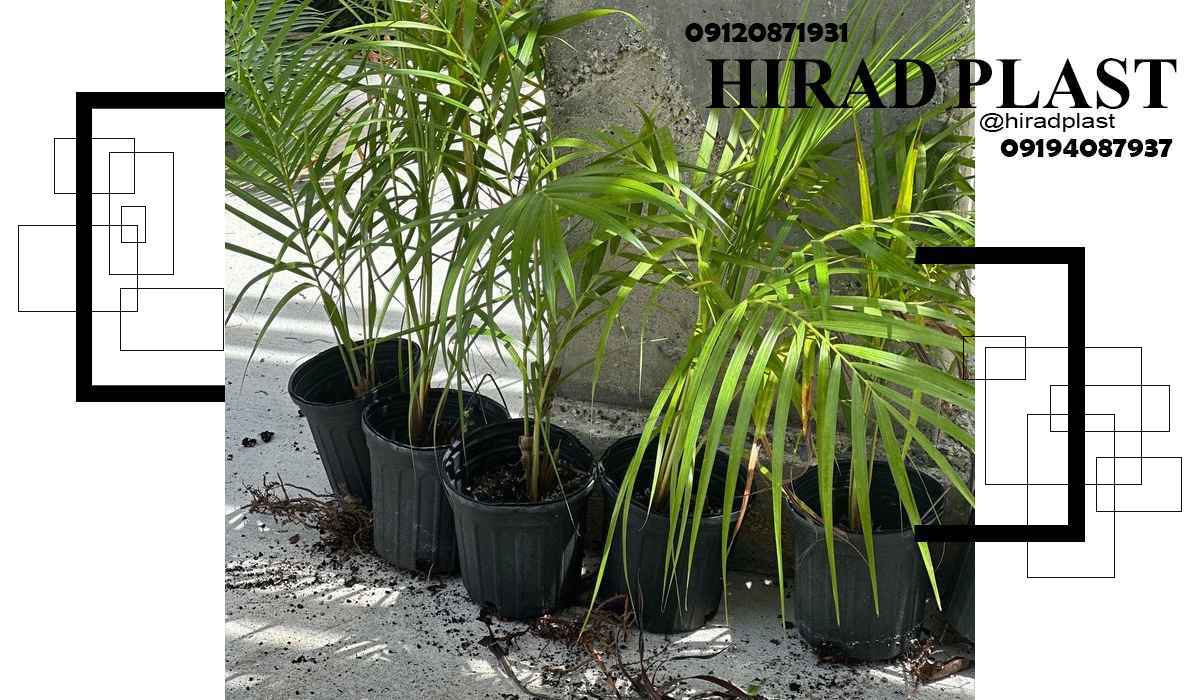 گلدان پلاستیکی عمده