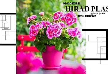 گلدان پلاستیکی گلسرخ