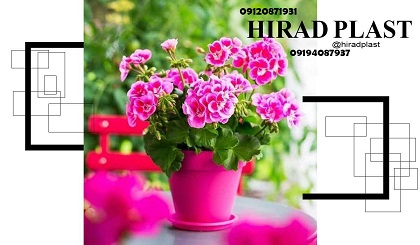 گلدان پلاستیکی گلسرخ