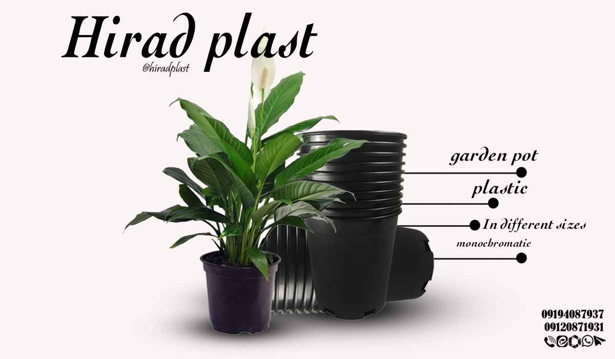 گلدان ژله ای ارزان