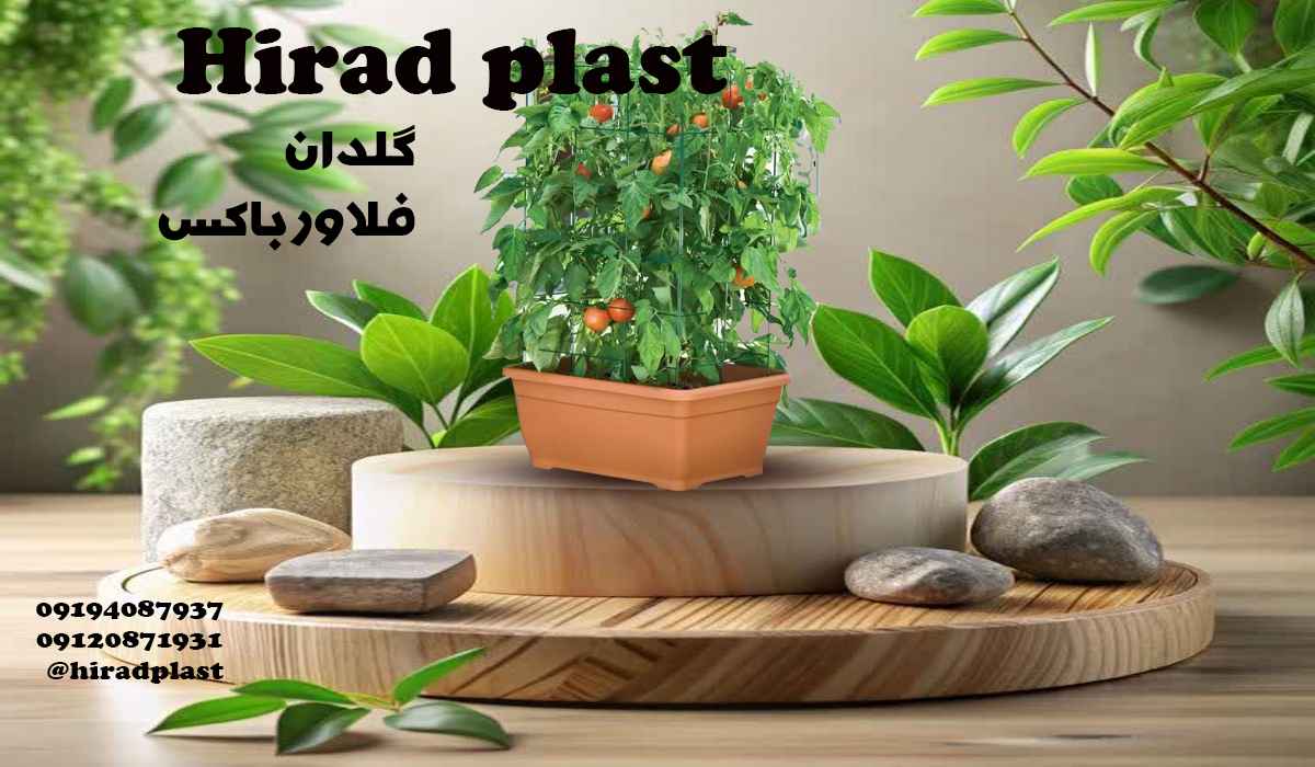 خرید گلدان سبزیجات