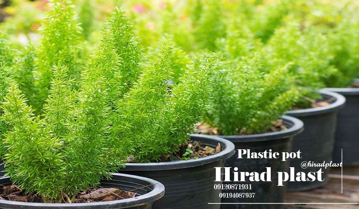 گلدان پلاستیکی