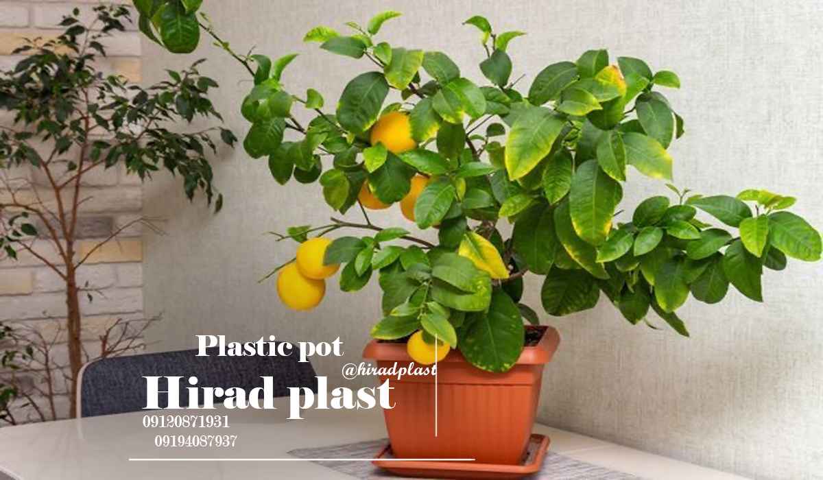 گلدان پلاستیکی ارزان