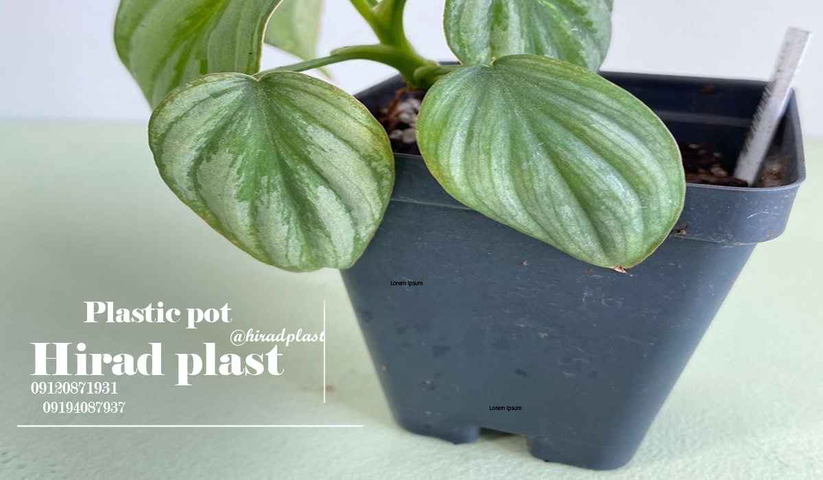 گلدان پلاستیکی جعبه ای