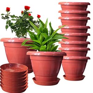 گلدانهای پلاستیکی چهارگوش مشکی