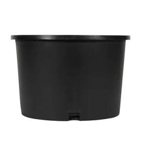 آشنایی بیشتر با گلدانهای پلاستیکی کوچک