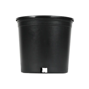 خرید اینترنتی گلدان پلاستیکی