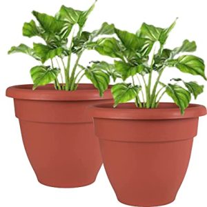 قیمت عمده گلدان پلاستیکی کوچک