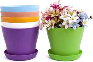 خرید عمده گلدانهای پلاستیکی کوچک