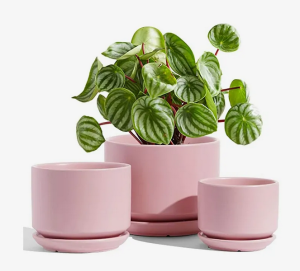 گلدانهای پلاستیکی کوچک رنگی