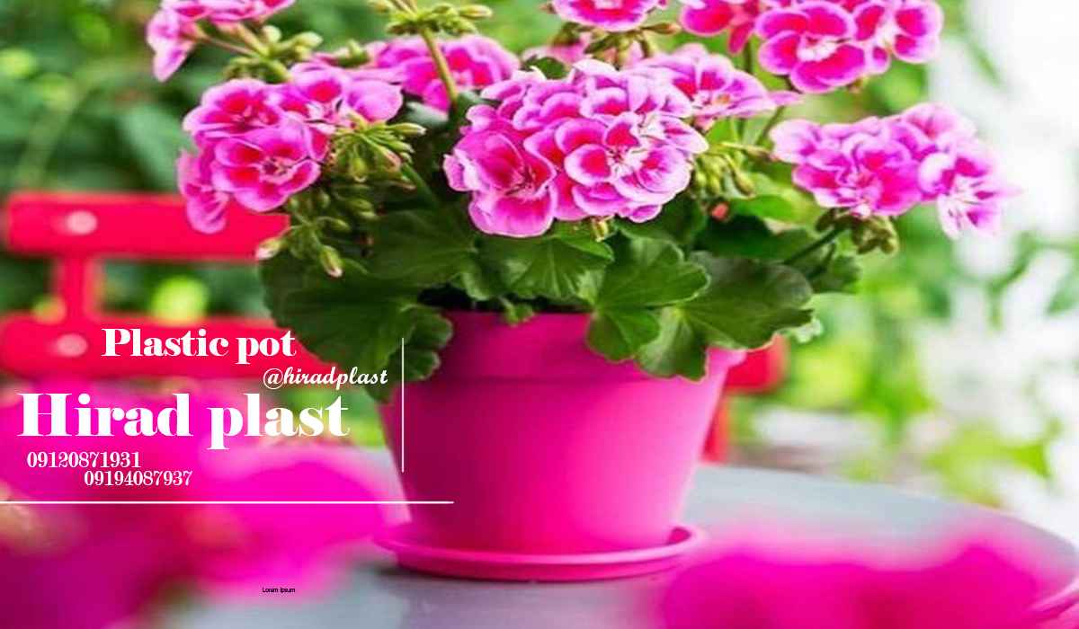 گلدان پلاستیکی گرد