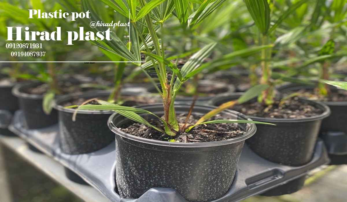 گلدان پلاستیکی گلخانه