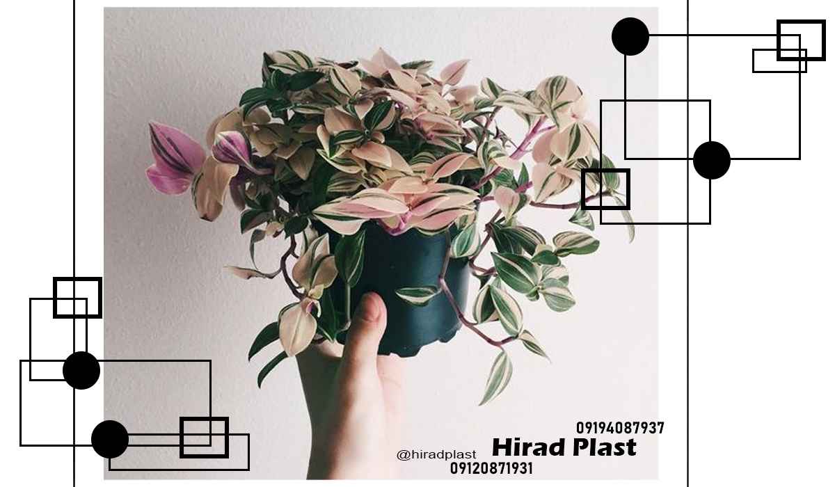 خرید گلدان پلاستیکی