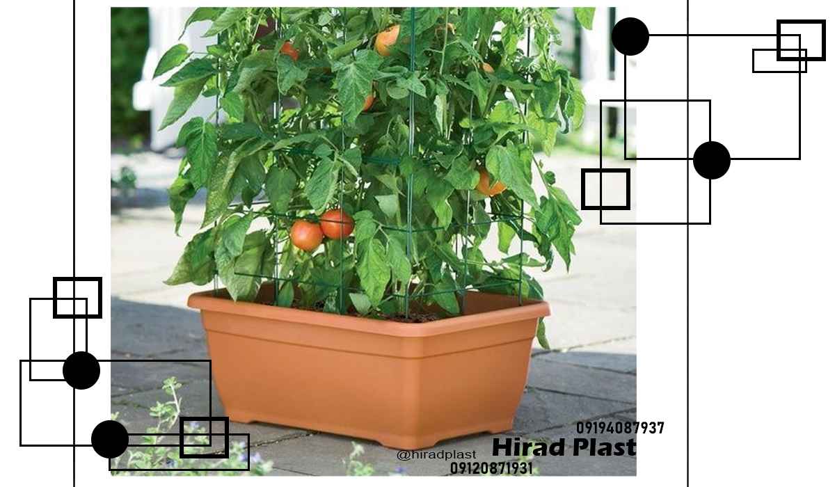 قیمت گلدان پلاستیکی