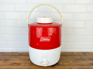 انواع مدل های دوقلو