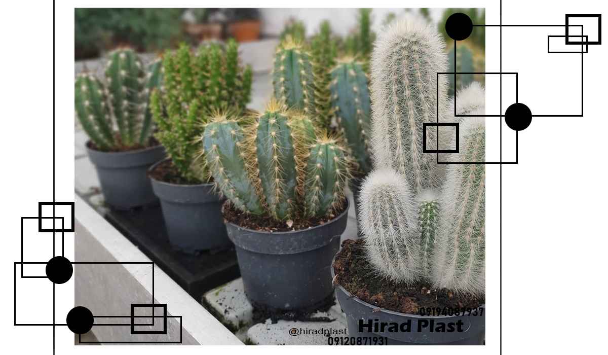 گلدان پلاستیکی مشکی