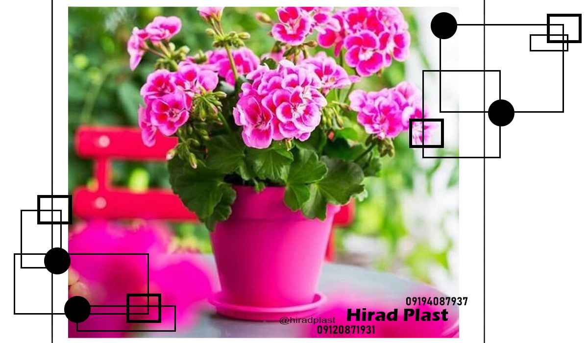 گلدان پلاستیکی گرد