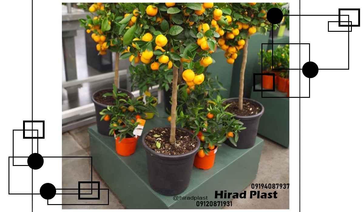 گلدان پلاستیکی