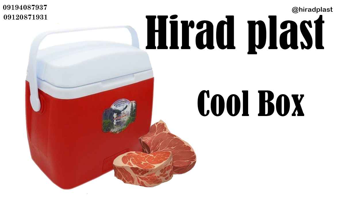 یخدان پلاستیکی دارویی