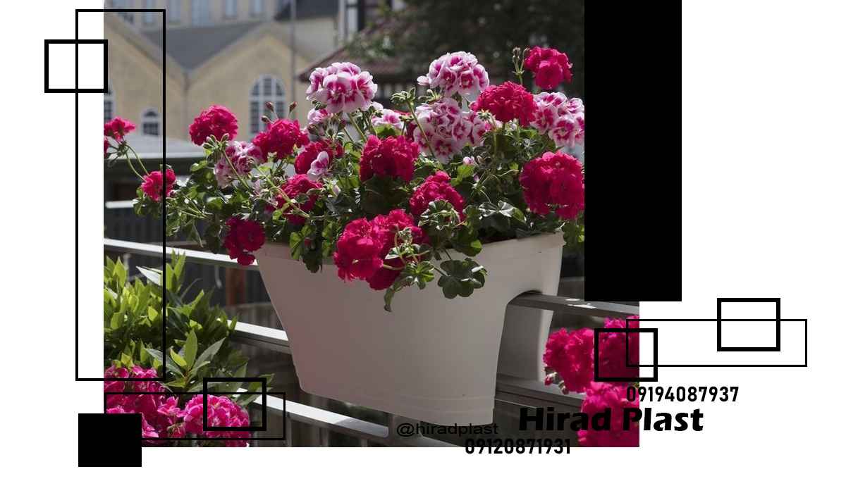 خرید گلدان پلاستیکی