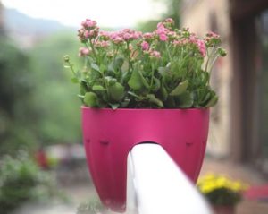خصوصیات بارز گلدان پلاستیکی رنگی نرده ای