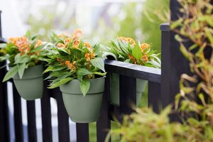 معرفی انواع گلدان پلاستیکی دوطرفه نرده ای