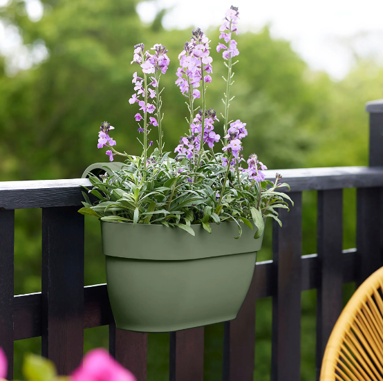 گلدان نرده ای دیجی کالا