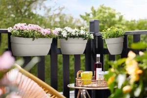 فروش گلدان پلاستیکی دو طرفه توسط دیجی کالا