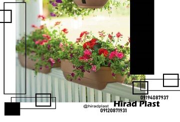 گلدان پلاستیکی