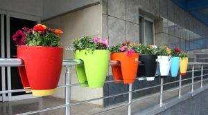 خرید گلدان نرده ای بزرگ دیجی کالا