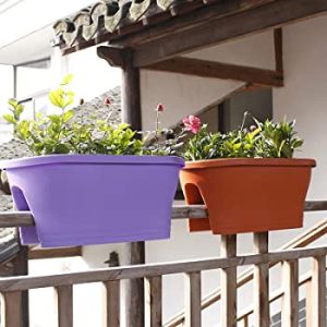 قیمت بی نظیر این محصول