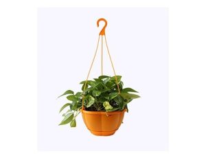 گلدان پلاستیکی طرح حصیری آویز