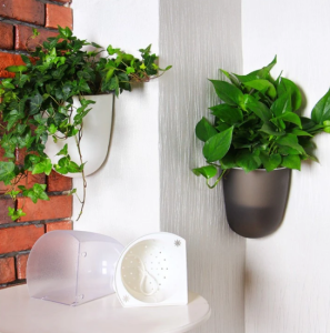 خرید اینترنتی گلدان دیواری پلاستیکی رنگی: