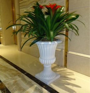 فروش همه روزه این محصول بی نظیر