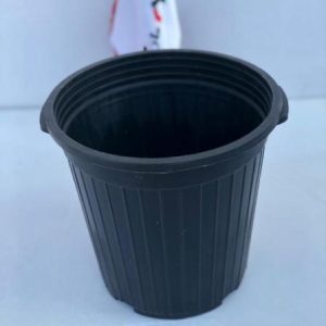 هیراد پلاست، بهترین انتخاب برای خرید انواع گلدان