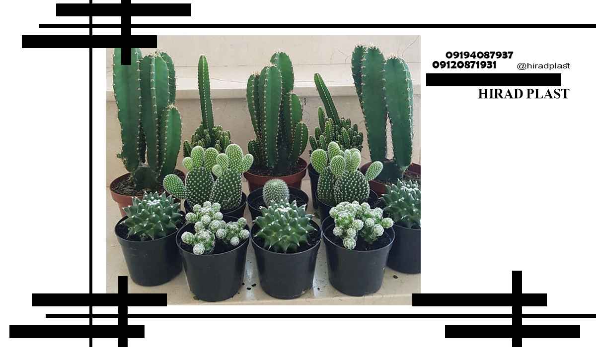 خرید گلدان پلاستیکی