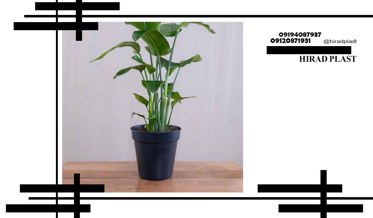 گلدان پلاستیکی عمده