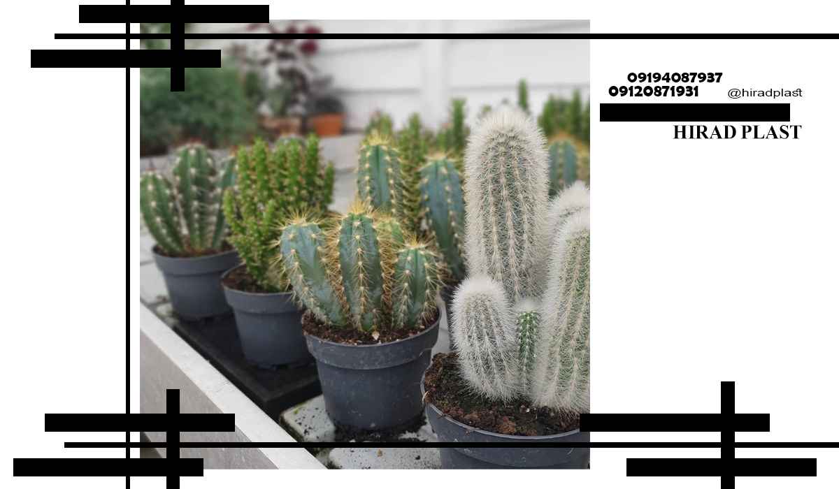 گلدان پلاستیکی کشاورزی