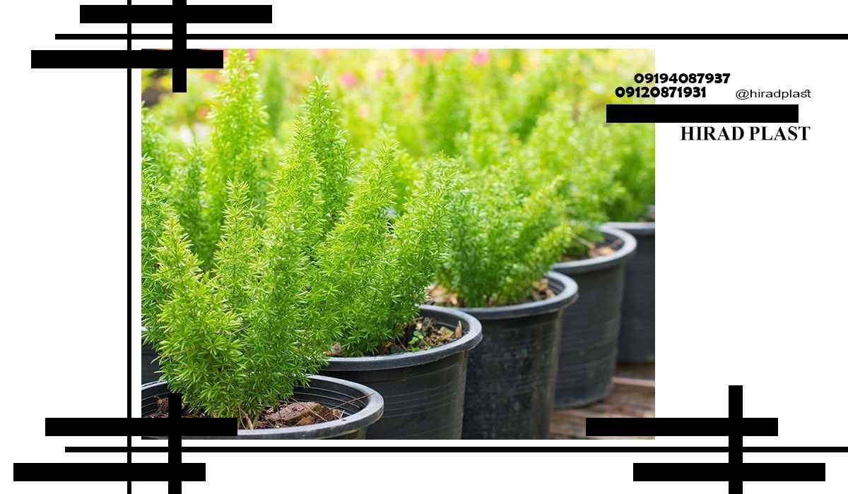 گلدان پلاستیکی گلخانه ای