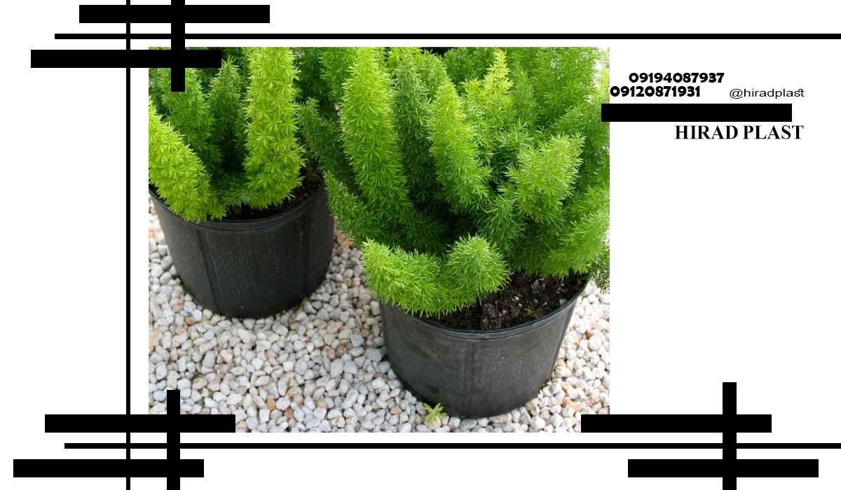 گلدان پلاستیکی گلخانه