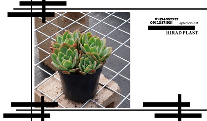 گلدان پلاستیکی