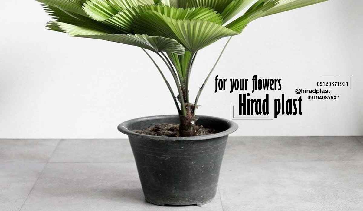 گلدان مشکی پلاستیکی